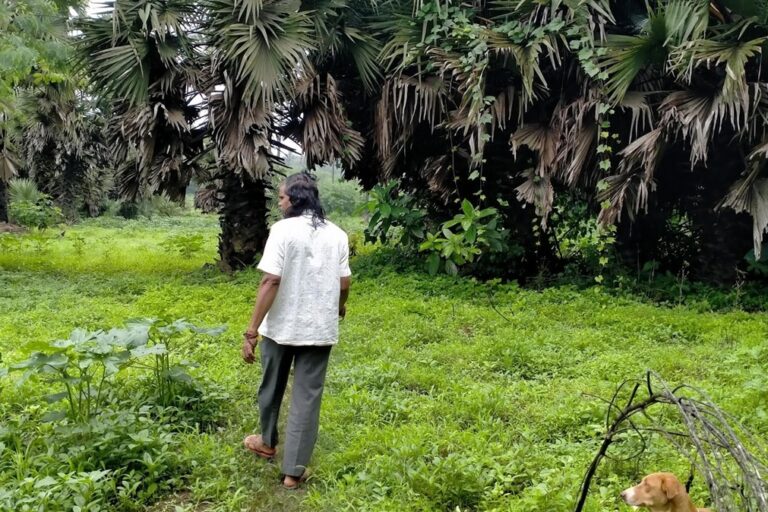 Farmer Laxman Shankar Dalvi, one of several residents served eviction notices by the Maharashtra Forest Department. Image by Esha Lohia for Mongabay.