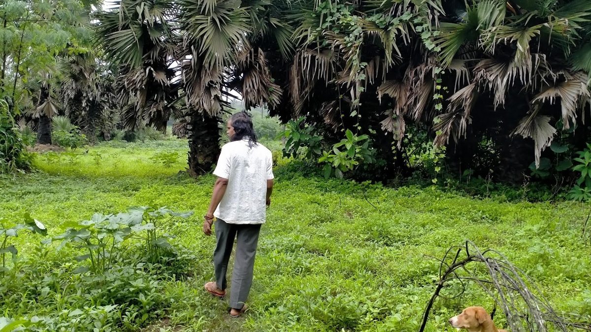 Farmer Laxman Shankar Dalvi, one of several residents served eviction notices by the Maharashtra Forest Department. Image by Esha Lohia for Mongabay.