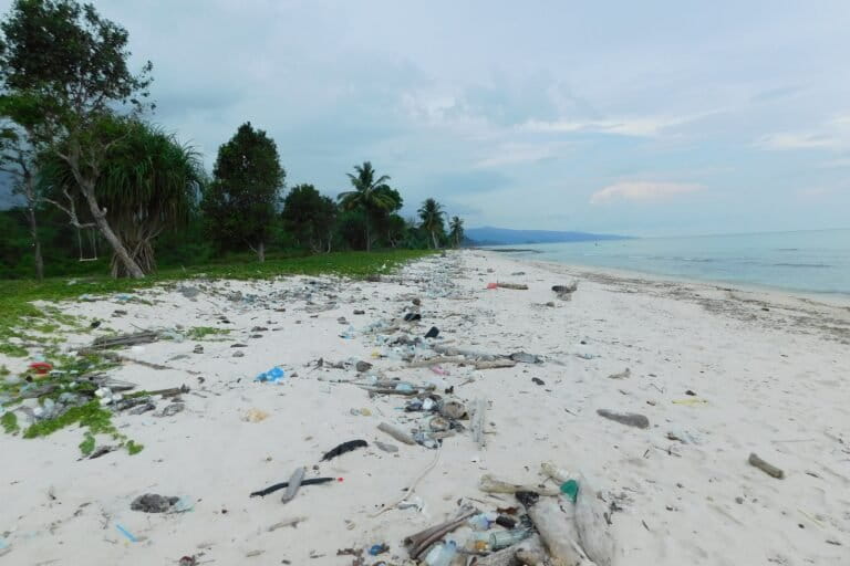 Marine debris is strewn over the beaches at Great Nicobar island. Image by Rama Narayanan H via Wikimedia Commons (CC BY-SA 4.0).