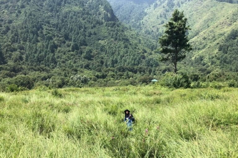 A view of the grassland in Dachigam National Park. Image by Umer Ikhlaq.