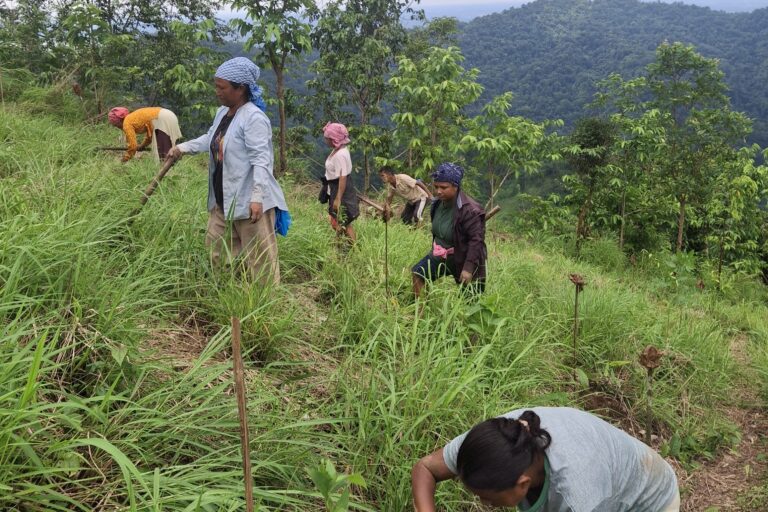 Community members prepare planting pits on a steep hillside, marking the beginning of a collaborative restoration effort. Image by Passang Nima Sherpa.