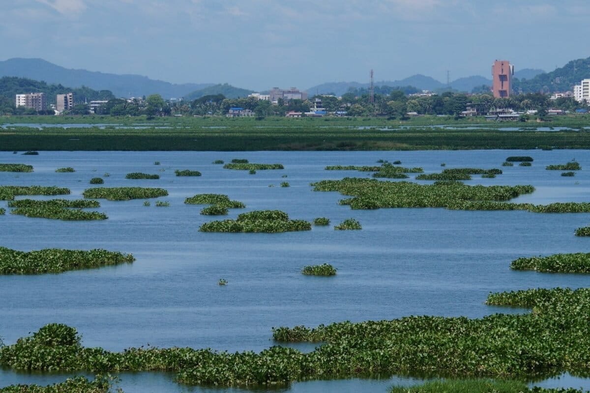 Deepor Beel is Guwahati’s major stormwater storage basin, and is facing stress from unregulated urban runoff. Image by Arnie via Flickr (CC BY 2.0).
