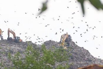 Achan landfill. Image by Farzana Nisar.