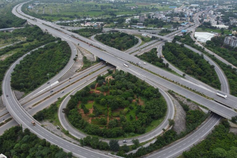 Trees thriving around flyovers in Hyderabad. Insufficient policy protection, incentives, and funding often undermine conservation efforts and sustainable management of trees outside forests. Image by Mohan Chandra Pargaien.