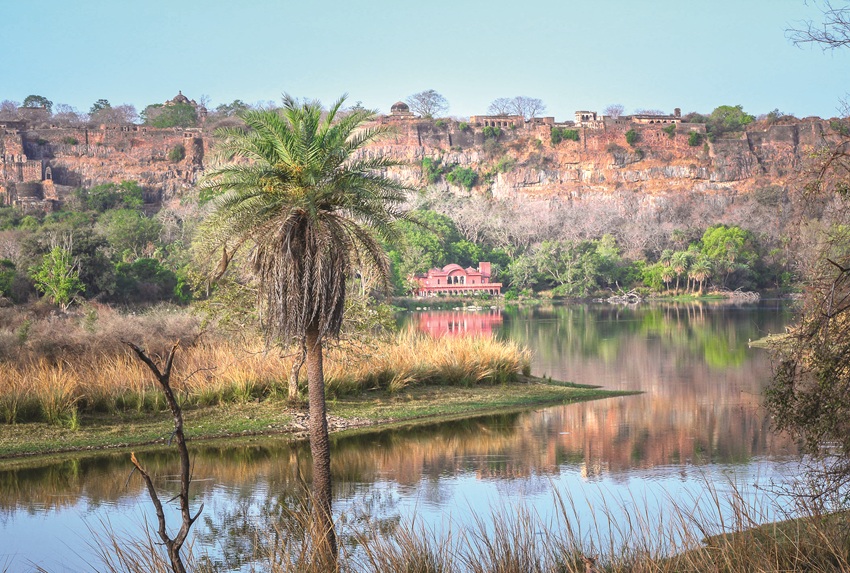 Water bodies inside the Ranthambore Tiger Reserve, Rajasthan. Image by Pramod K Yadav