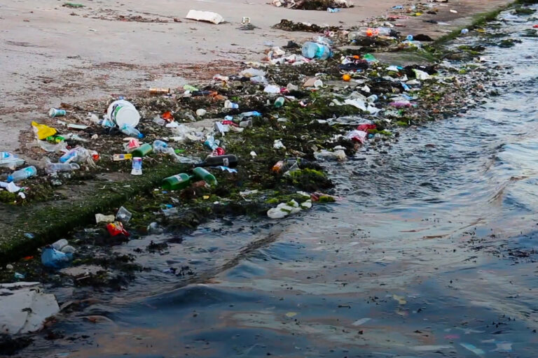 Plastic pollution along the shores of Bhoj wetland. Image by Manish Chandra Mishra/Mongabay.