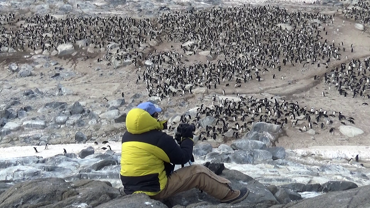 Colin Southwell photographing an Adelie penguin colony in the icy and rocky terrain of Antarctica. Image by Louise Emmerson, Australian Antarctic Division.