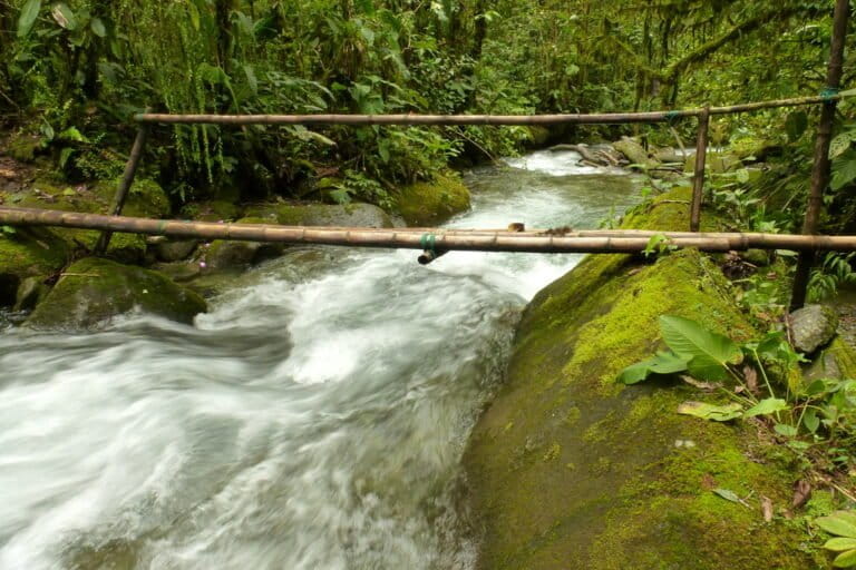 A bridge over a stream flowing through the cloud forest of Los Cedros, Ecuador. Robert Macfarlane’s Is a River Alive? describes forests, rivers, and the efforts of indigenous people across three main landscapes including Los Cedros. Image by Andreas Kay via Flickr (CC BY-NC-SA 2.0).
