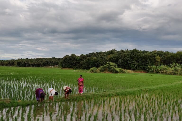 Researchers suggest that setting up more custom, government- or community-run hiring centres rent farm machinery to small farmers at affordable rates could help reduce health impacts from climate change and hard labour in the field. Image by Mahima Jain.