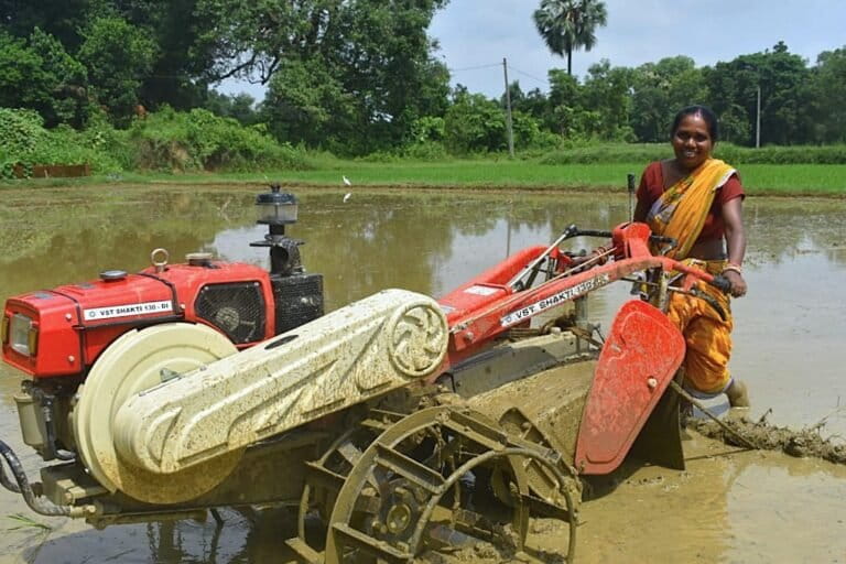 Mechanised farming equipmen such as drum seeders, mechanical weeders, and reapers reduce physical effort and time in the field. Image by IRRI.
