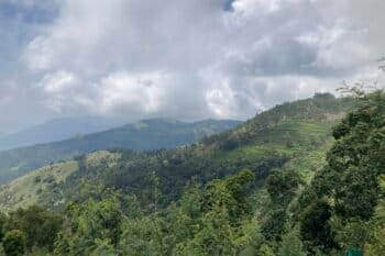 The Nilgiris hills in the southern Western Ghats. Image by Divya Kilikar/Mongabay.