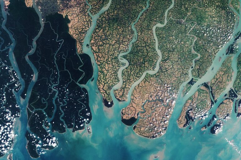 Sundarbans as captured by Sentinel-2. Image by European Space Agency via Creative Commons (CC BY-SA 3.0 IGO).