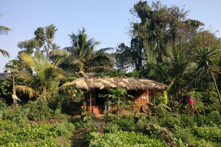 Adivasi Bhoir family’s home in Kelti Pada, where they grow and sell vegetables and fruits in their garden. Image courtesy of Amrita Bhattacharjee.