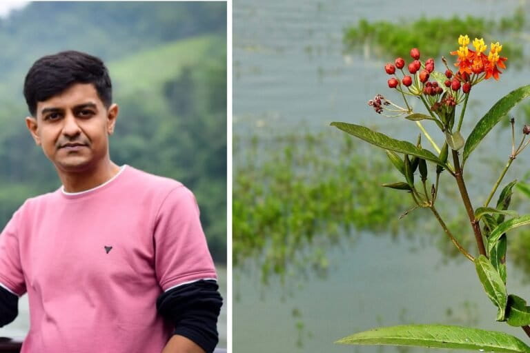 Portrait image courtesy of Achyut Kumar Banerjee. Asclepias curassavica, the tropical milkweed (right), observed growing naturally near Rachanahalli lake in Bengaluru. Image by Kesang Choden Bhutia.