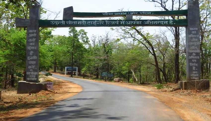 The Udanti-Sitanadi Tiger Reserve, one of the oldest protected areas in Chhattisgarh, was declared a wildlife sanctuary in 1984. Image by Devendra Shukla.