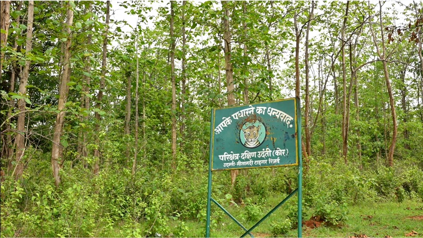 Udanti-Sitanadi Tiger Reserve spans approximately 1,842 sq km, with 851 sq km of core area and 991 sq km of buffer zone. Image by Devendra Shukla.