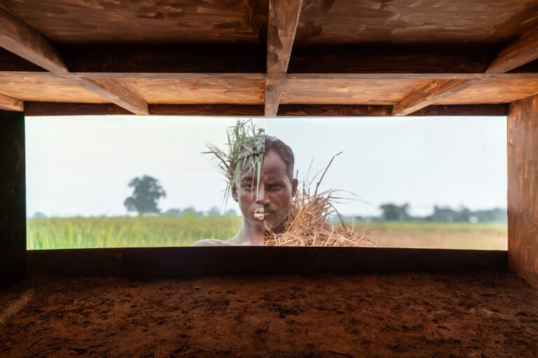 An artwork curated as part of Time as a Mother by Damian Christinger and Ravi Agarwal for Serendipity Arts Festival 2023. Ravi's curatorial approach explores the intersections of art, ecology, and climate change. Image by Philippe Calia and Sunil Thakkar/Serendipity Arts Festival. 