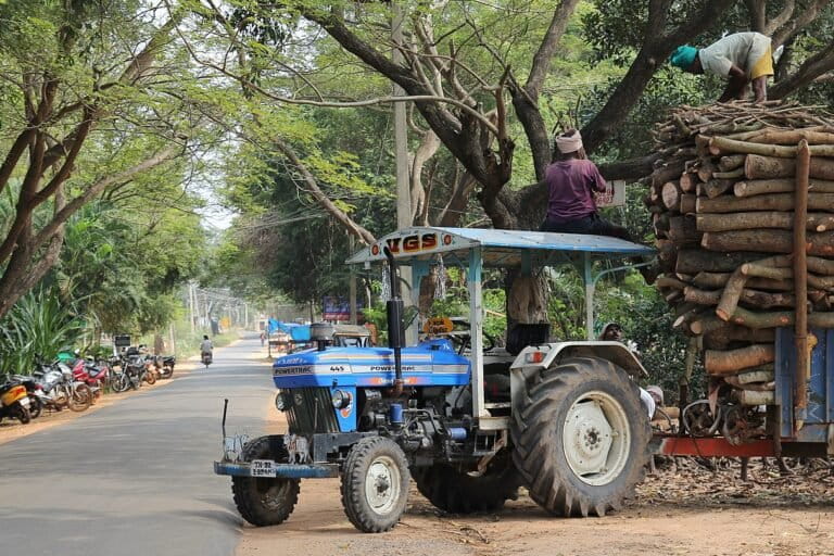 Timber being transported in a tractor. The Supreme Court has reinstated post-facto environmental clearance for projects that failed to obtain permission before starting construction. Representative image by Johan Bichel Lindegaard via Wikimedia Commons (CC BY 2.0).