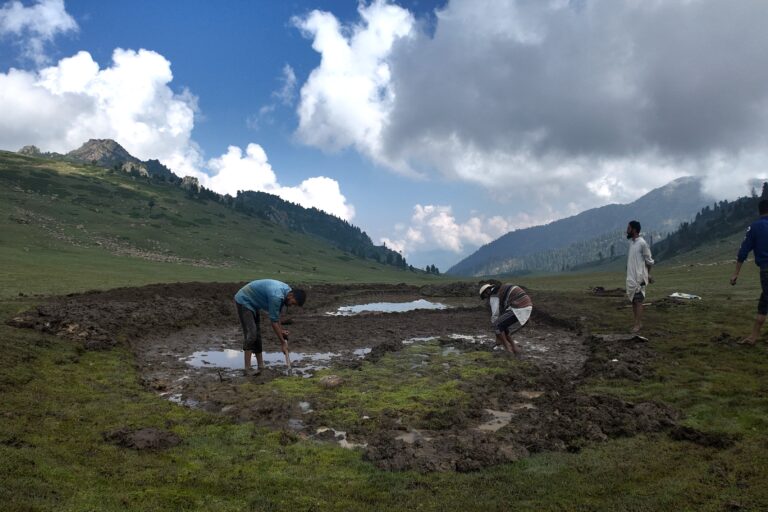 A new pond being dug at Lalmarg pasture in Ganderbal district. Pastoralist communities in Kashmir work together with the nonprofit Himalayan Pastoral Trust to construct alpine ponds to store harvested rainwater in high-altitude pastures. Image by Shahid Sulaiman.