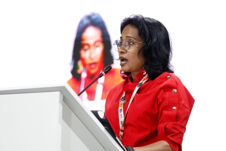A speaker at a high-level dialogue on climate change adaptation. Image © UN Climate Change - Zô Guimarães via Flickr (CC BY-NC-SA 4.0).