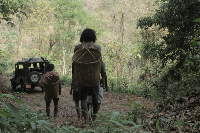 The single forest road that connects Cholanaikkans with the outside world. Image by Unnnikrishnan Avala.