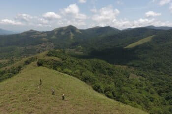 An aerial view of visitors at a rewilded area in Fringe Ford. Image courtesy of Fringe Ford.
