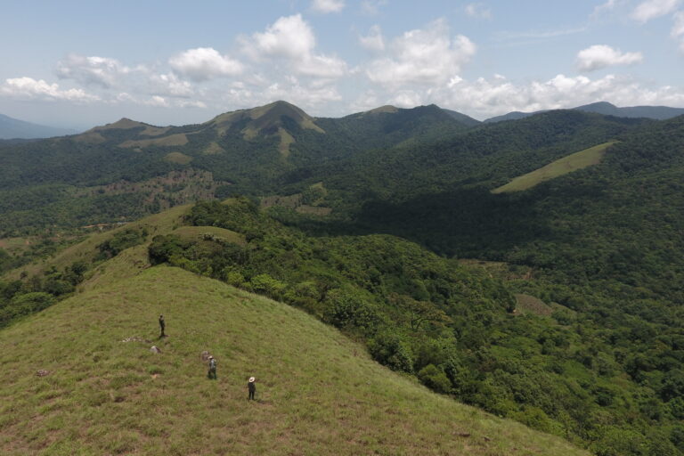 An aerial view of visitors at a rewilded area in Fringe Ford. Image courtesy of Fringe Ford.