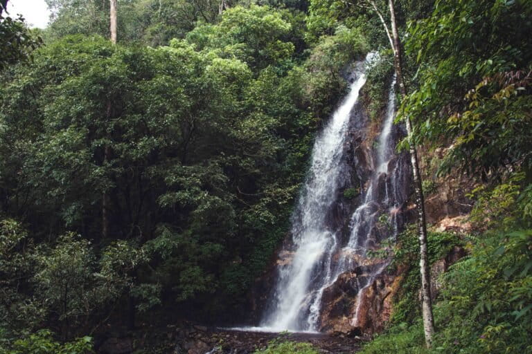 A waterfall at Fringe Ford, a 600-acre property in Wayanad, Kerala, set up as an ecotourism venture by conservationist Ahmed Chamanwala. Surrounded by tiger reserves, Fringe Ford is used by wildlife as a corridor. Image courtesy of Fringe Ford.
