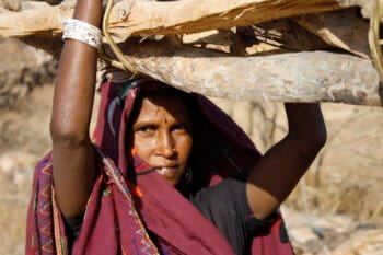 A woman collects firewood in Rajasthan. Representative image by Engineering for Change via Wikimedia Commons (CC BY-SA 2.0).