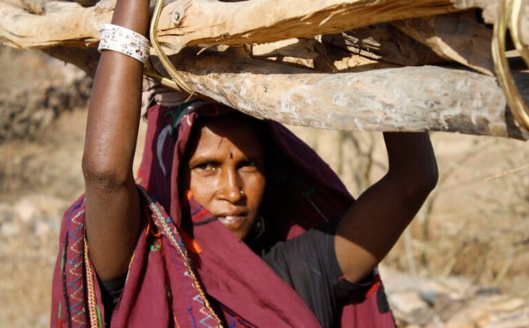 A woman collects firewood in Rajasthan. Representative image by Engineering for Change via Wikimedia Commons (CC BY-SA 2.0).