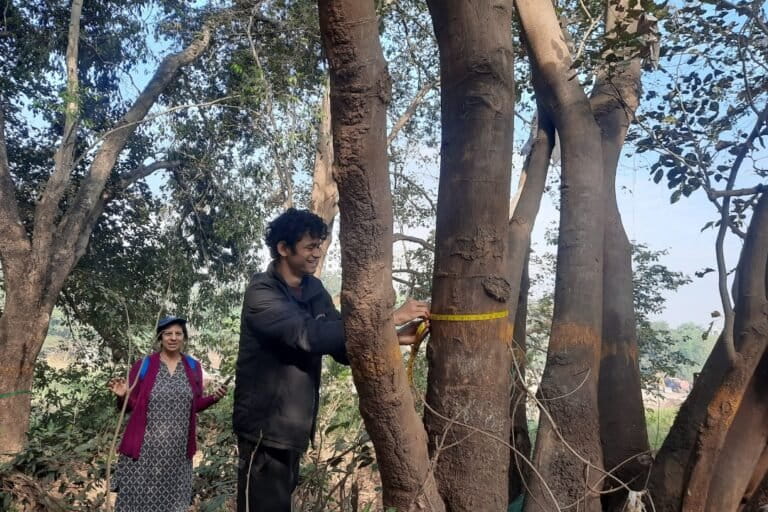 Pune River Revival conducts tree-mapping exercises of more than 3,000 trees so far. Through this activity, they are building a record of the existing trees in the forest, including their photos and location. Unfortunately, some of the trees mapped have already been felled for the project. Image courtesy of Pune River Revival.