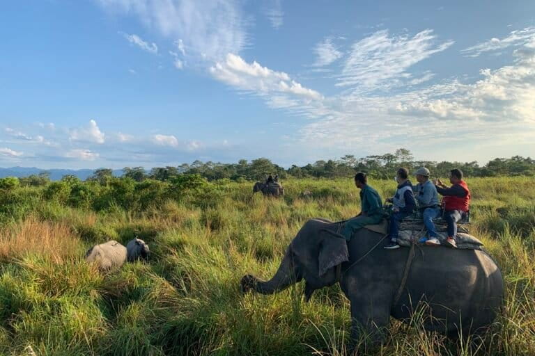 Community tourism inside Manas National Park, Assam. India’s long-standing forest decentralisation framework, built around Joint Forest Management and Community Forest Resource Rights committees, provides existing institutional infrastructure. Image by Ishan Kukreti.