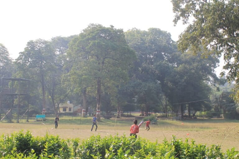 The forest serves as an outdoor space for children, who meet at a ground in Kukrail to play cricket. However, the eco-tourism project including the night safari seeks to construct over 6.5 hectares (about the size of several cricket grounds) to build enclosures, walking trails, a 7D theatre, an art gallery, and other facilities. Image by Azma Khan.