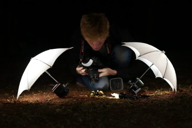 Zeeshan Mirza examines a new tarantula species found in Western Ghats. He and others keep study sights secret, to avoid damage from pet traders and tourism. Image courtesy of Zeeshan Mirza.