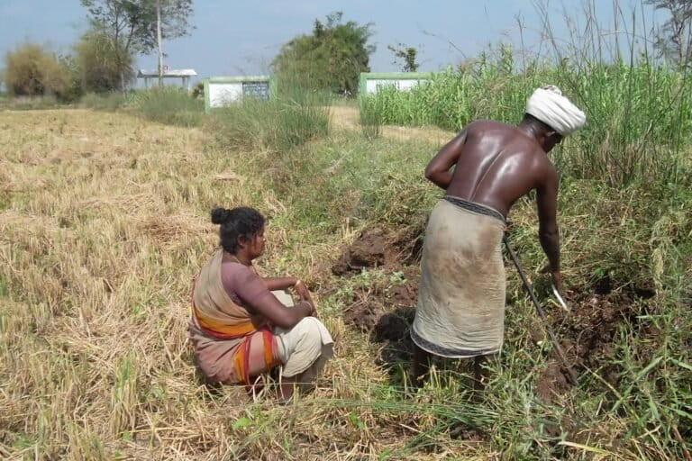Irula farmers at work. Representative image by Sankar.s via Wikimedia Commons (CC BY-SA 3.0).