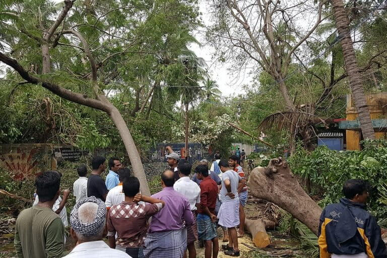 People gather around uprooted trees in the aftermath of cyclone Gaja in 2018, which caused extensive damage in Muthupet, with loss of about three square kilometres of mangroves. Image by Ashiqproffesit via Wikimedia Commons (CC BY-SA 4.0).