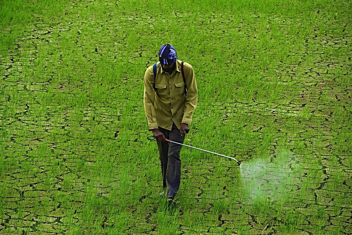A farmer spraying pesticides in Kerala. The Ministry of Agriculture and Farmers’ Welfare has released a draft Pesticides Management Bill to replace the Insecticides Act, 1968. Image by Joseph ND via Wikimedia Commons (CC BY-SA 4.0).