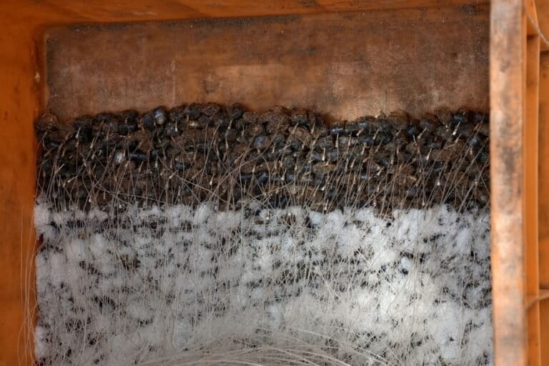 Hook-and-line fishing gear prepared for the next round of fishing, with baited hooks neatly arranged in a crate at a Mel Mundal. Image by Vinod Kumar.