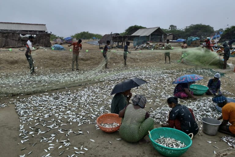 Fisherfolk sort their catch in Keele Mundal. While men handle the nets, women separate the fish. Image by Vinod Kumar.