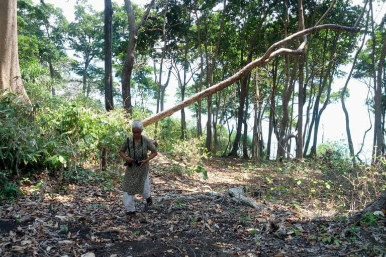 Geetha Iyer photographs an insect in a wooded area on Andaman Island. Image courtesy of Geetha Iyer.