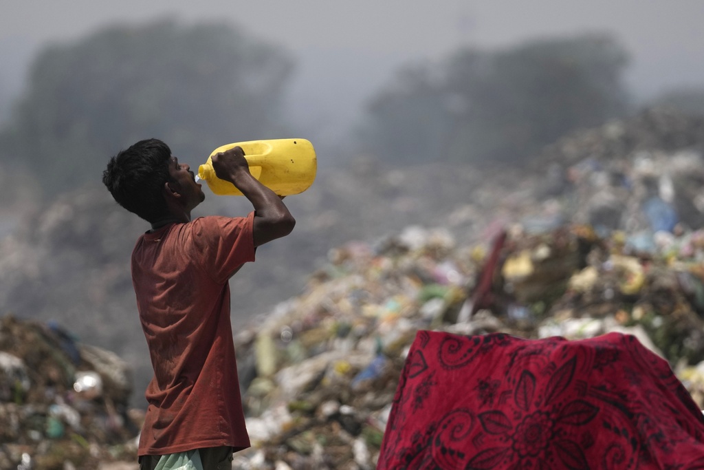 A waste picker drinks water while working during a heat wave at a garbage dump on the outskirts of Jammu. (AP Photo/Channi Anand)