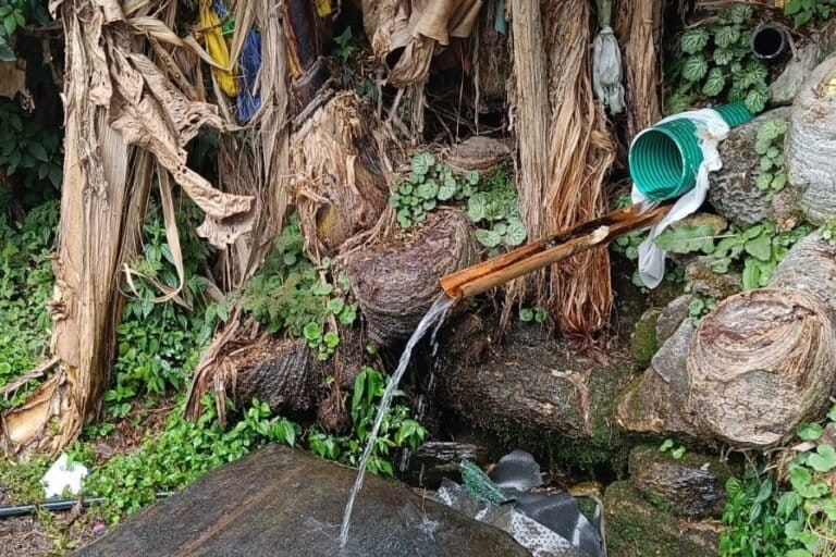 Overlooked urban springs can strengthen water security in Himalayan cities [Commentary]