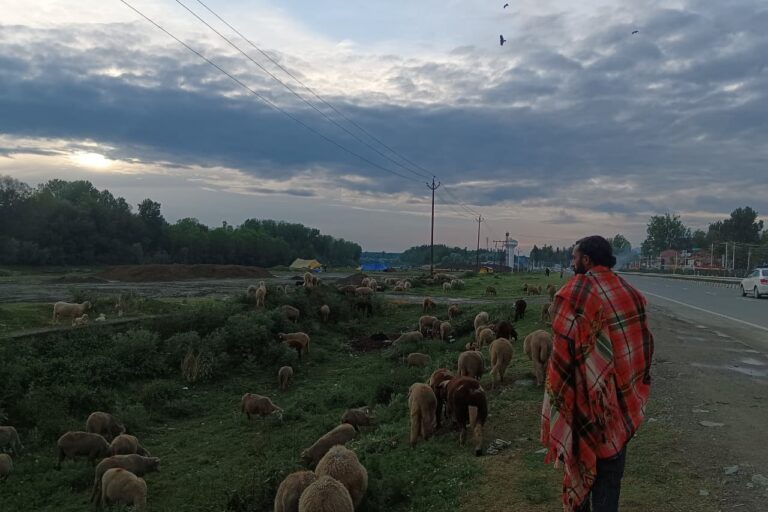 Unseasonal snowfall blocks the path for migratory pastoralists