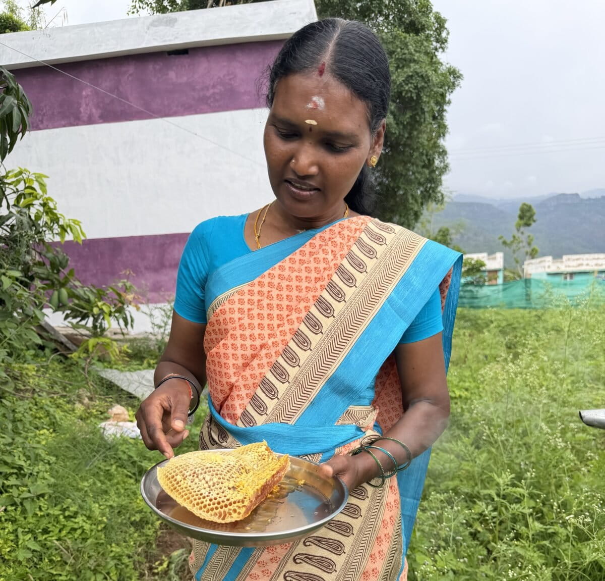 Indigenous women build new livelihoods with hive boxes