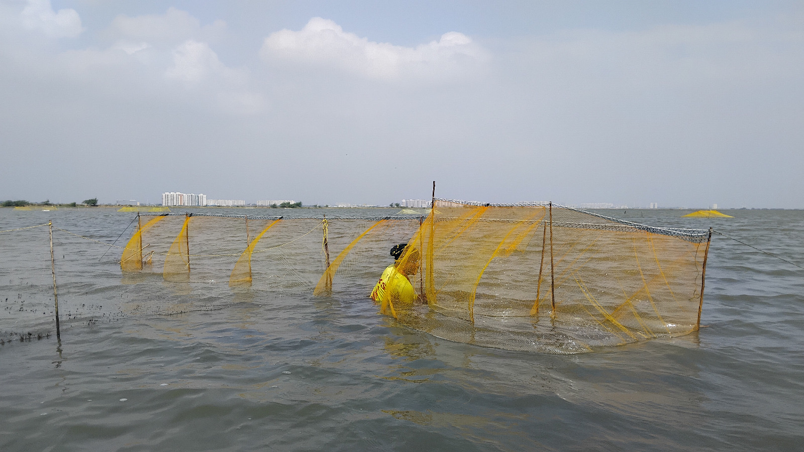 A coastal wetland could soon become a reservoir to meet a city’s water demand