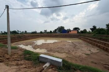 A pond recently dug by the government in Palamu. When Mongabay-India visited in late July, the pond held little water. Image by Ashwini Kumar Shukla.