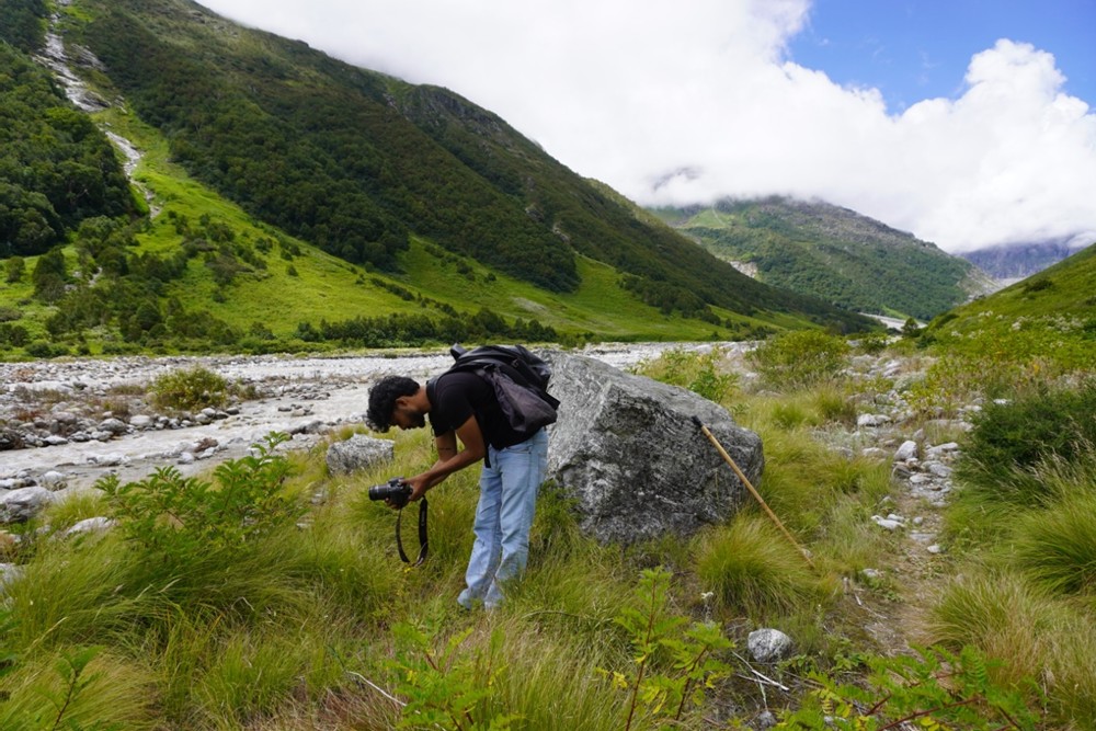 Kuntal Saha, lead author of the study spots Cynodon nlemfuensis on a field trip in the Kashmir Himalaya, near Gulmarg. Image courtesy of Kuntal Saha.