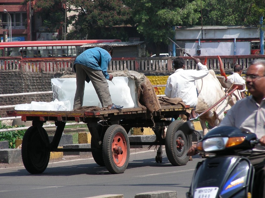 A man on an ox-driven cart cuts ice blocks. The Reserve Bank of India has warned that extreme heat and humidity could put up to 4.5% of India’s GDP at risk by 2030 through lost labour hours. Image by Kristina D.C. Hoeppner via Wikimedia Commons (CC BY-SA 2.0).
