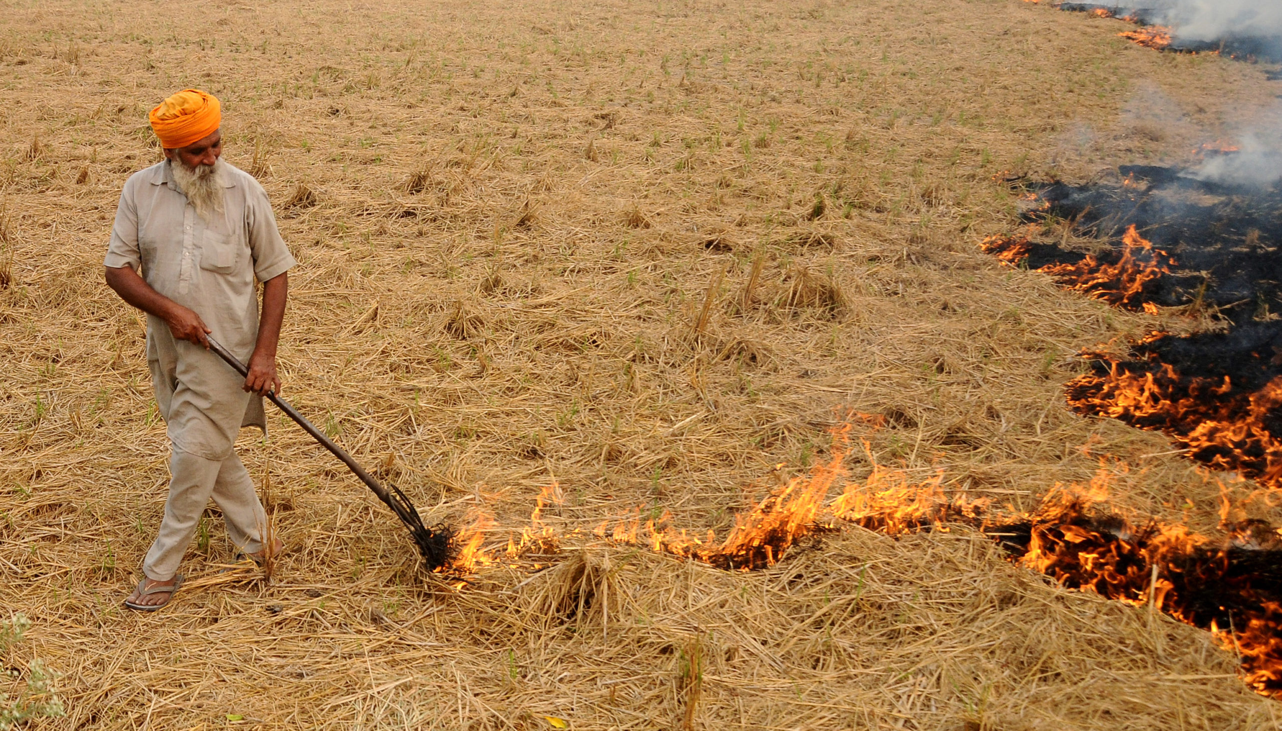 पटियाला के एक गांव में पराली जलाता हुआ किसान
