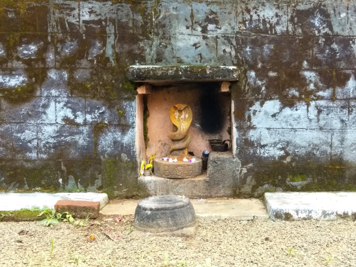 कोडागू स्थित मंदिर के सामने नाग देवता का स्थान फोटो यू. प्रशांत बल्लुलल्या
